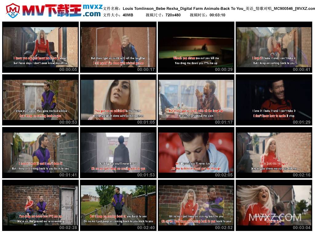 Louis Tomlinson_Bebe Rexha_Digital Farm Animals-Back To You_英语_情歌对唱_MC900546